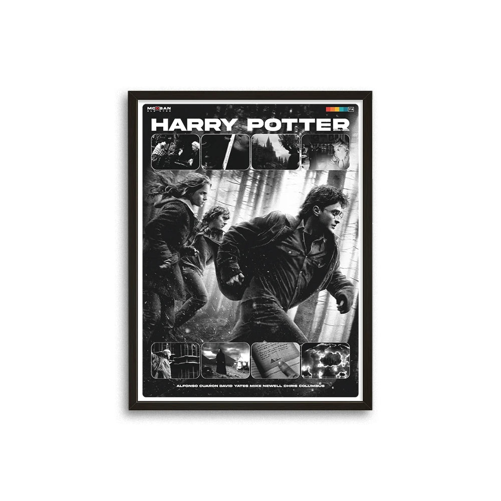 Harry Potter
