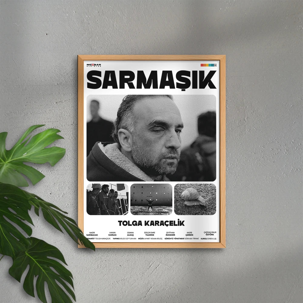 Sarmaşık