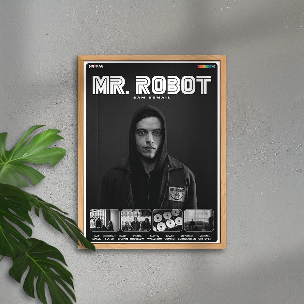 Mr. Robot