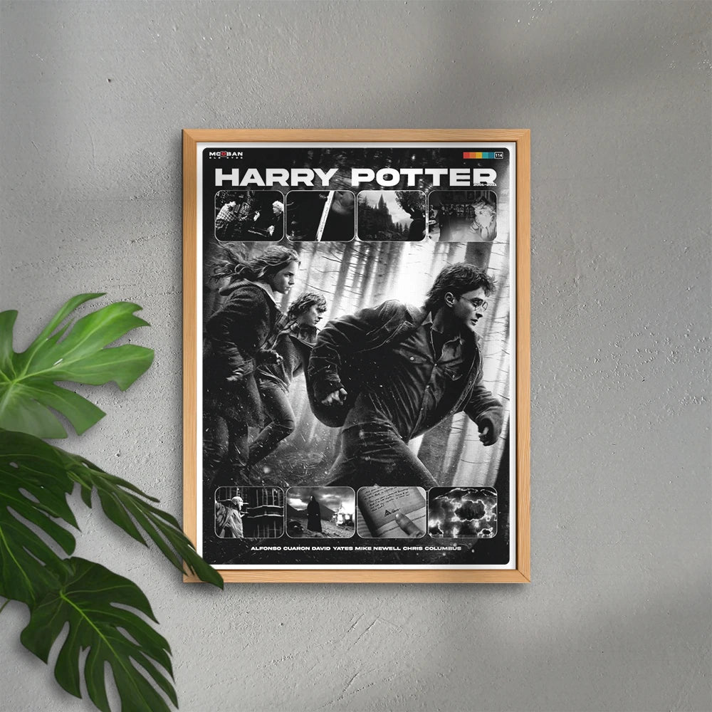 Harry Potter