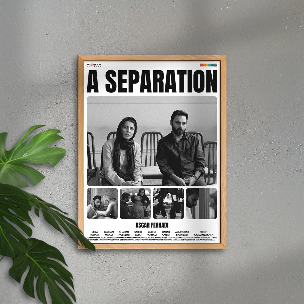 A Separation (Bir Ayrılık)