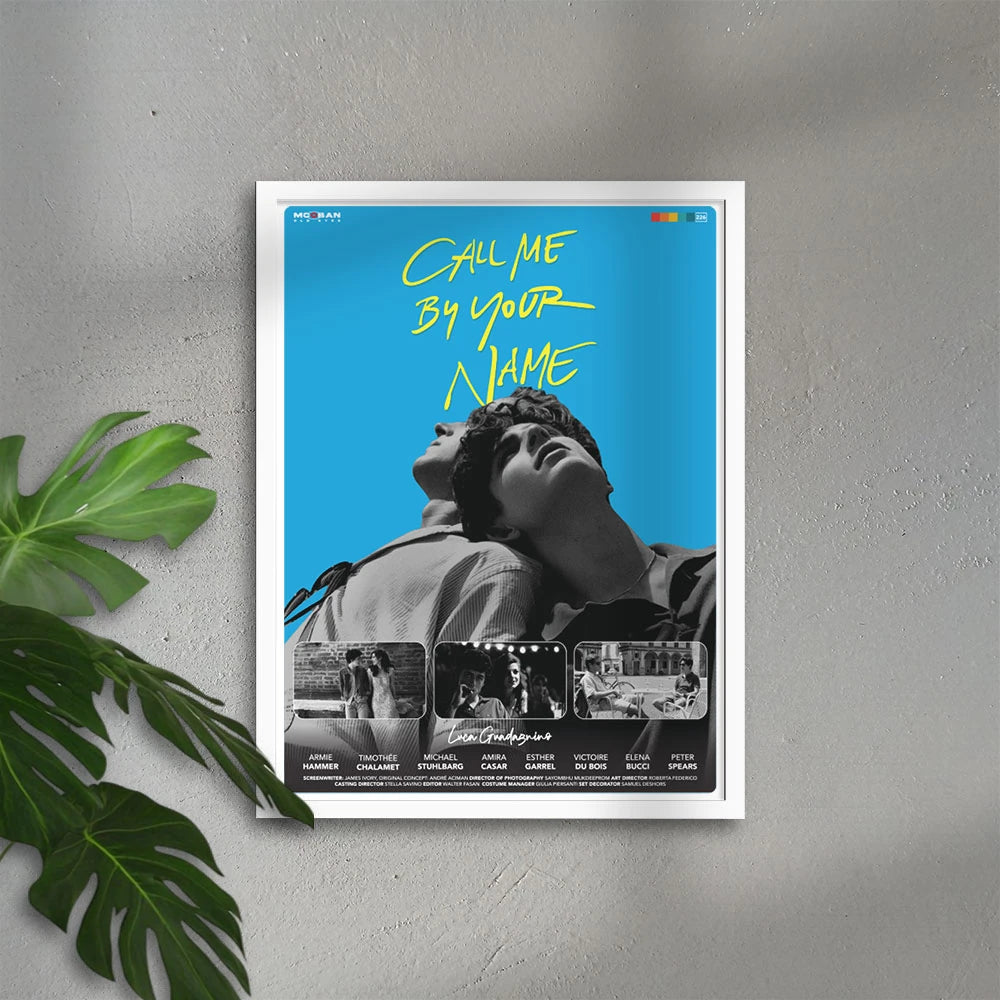 Call Me by Your Name – Beni Adınla Çağır