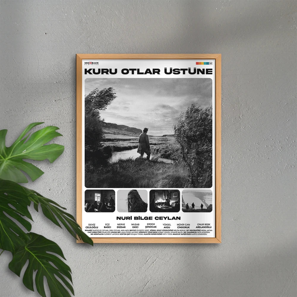 Kuru Otlar Üstüne