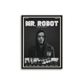 Mr. Robot