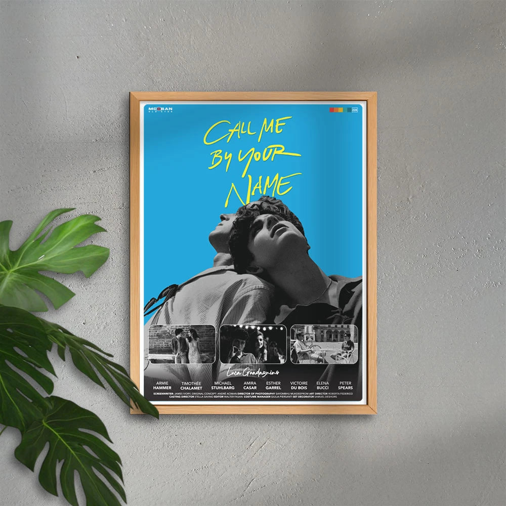 Call Me by Your Name – Beni Adınla Çağır